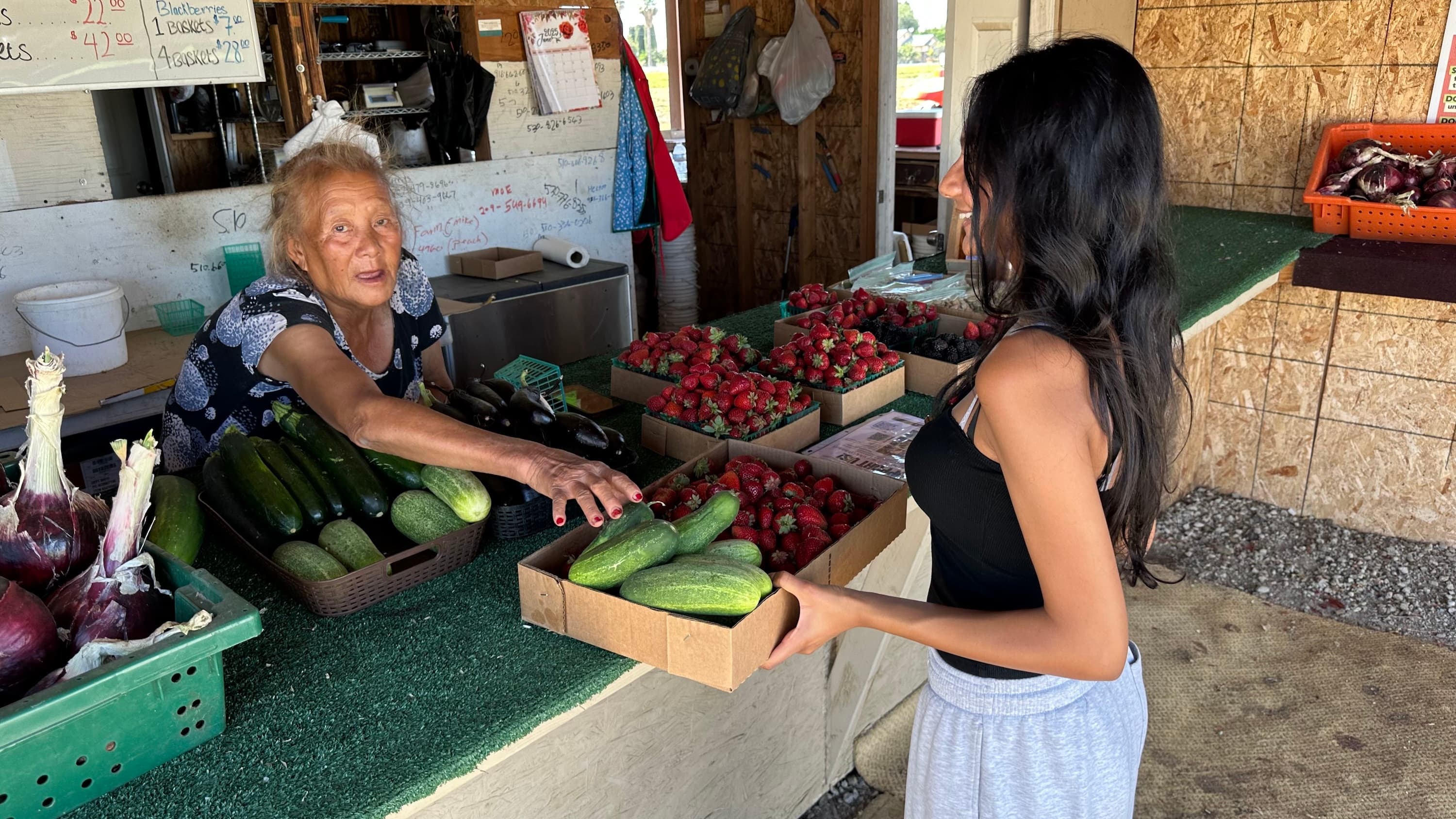 Fresh Strawberries Distribution