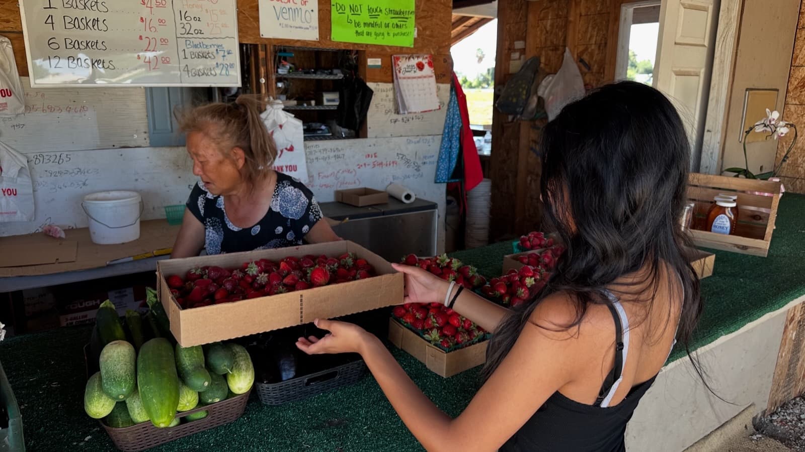 Fresh Strawberries Collection